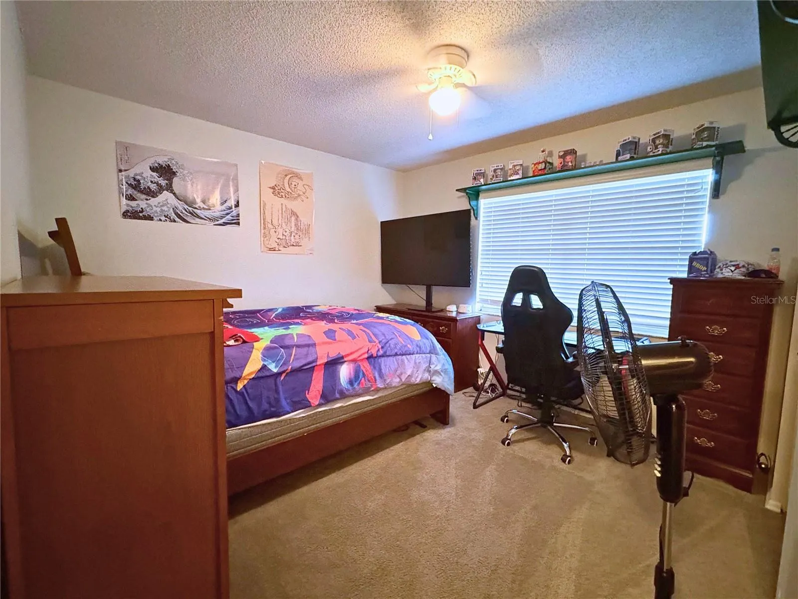 429 EVERGREEN DR