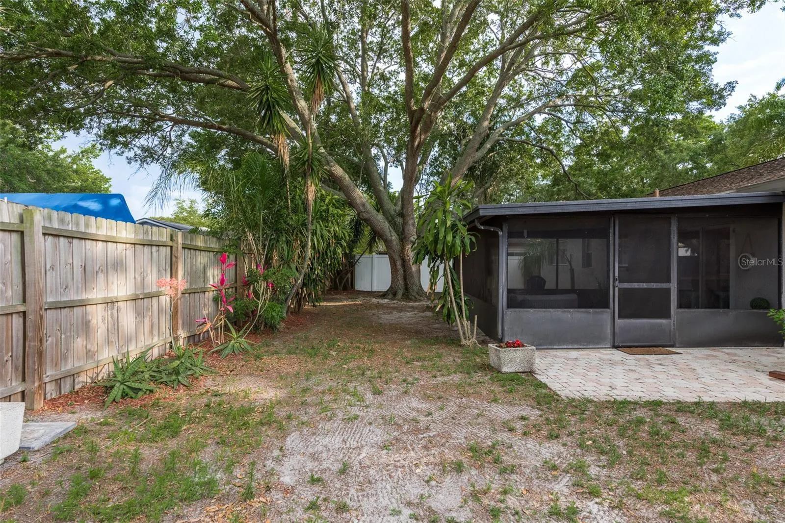 429 EVERGREEN DR