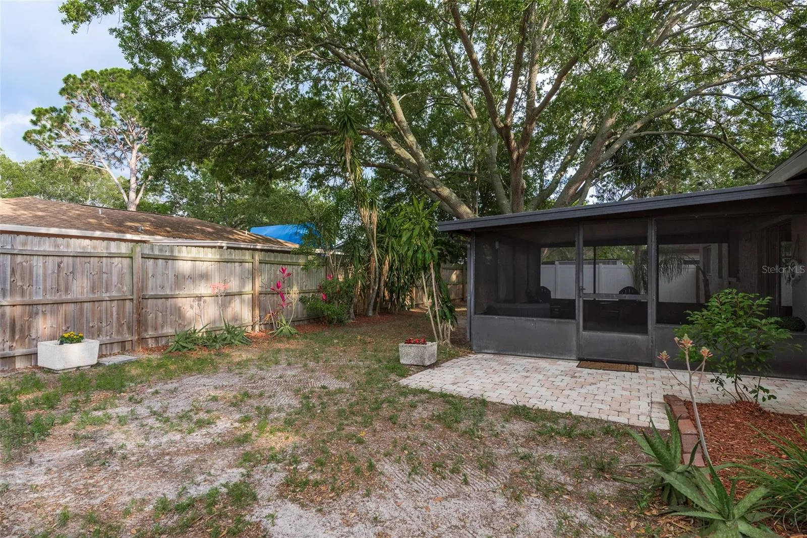 429 EVERGREEN DR