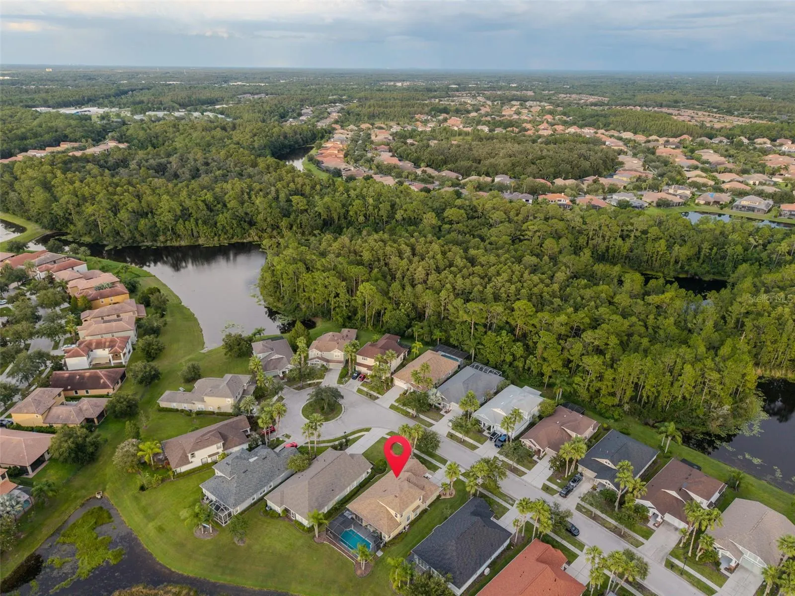 8118 CAMELLA LN