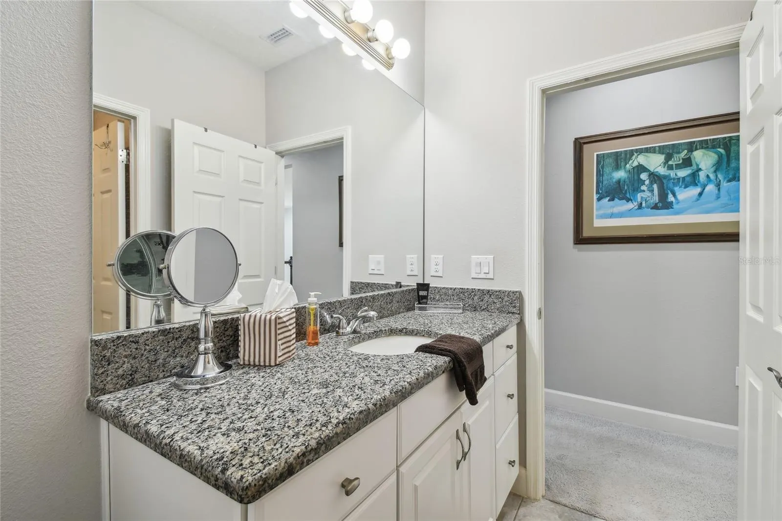 8747 TERRACINA LAKE DR