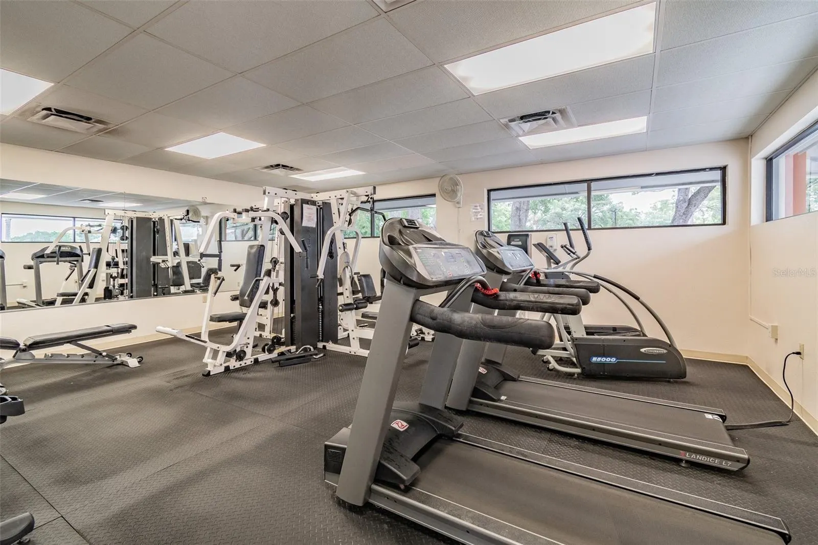 8130 BRADDOCK CIR #3, #3
