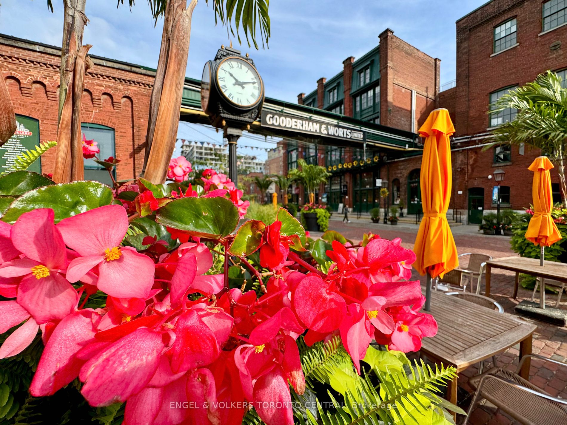 390 Cherry St, #2202