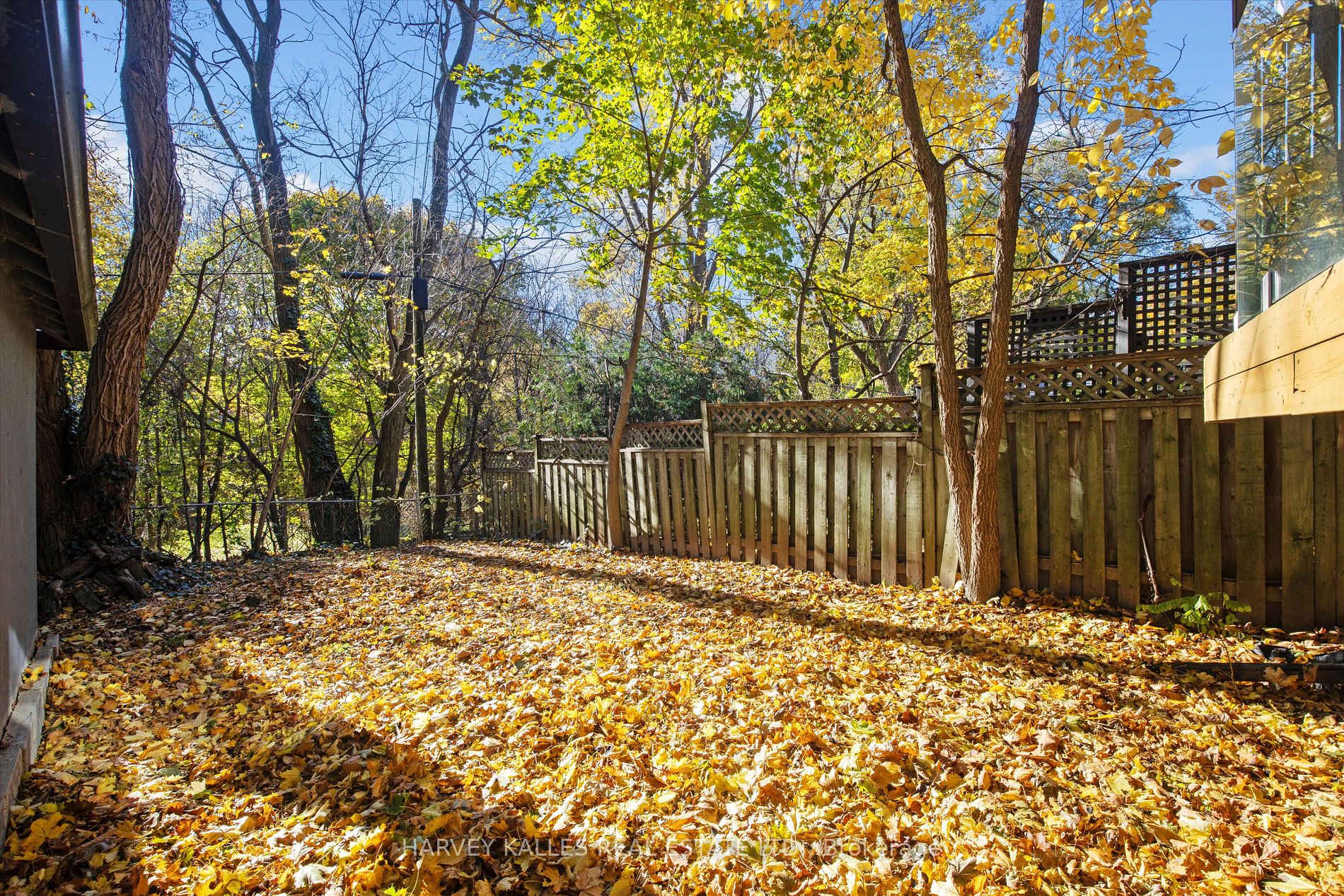 293 Chaplin Cres