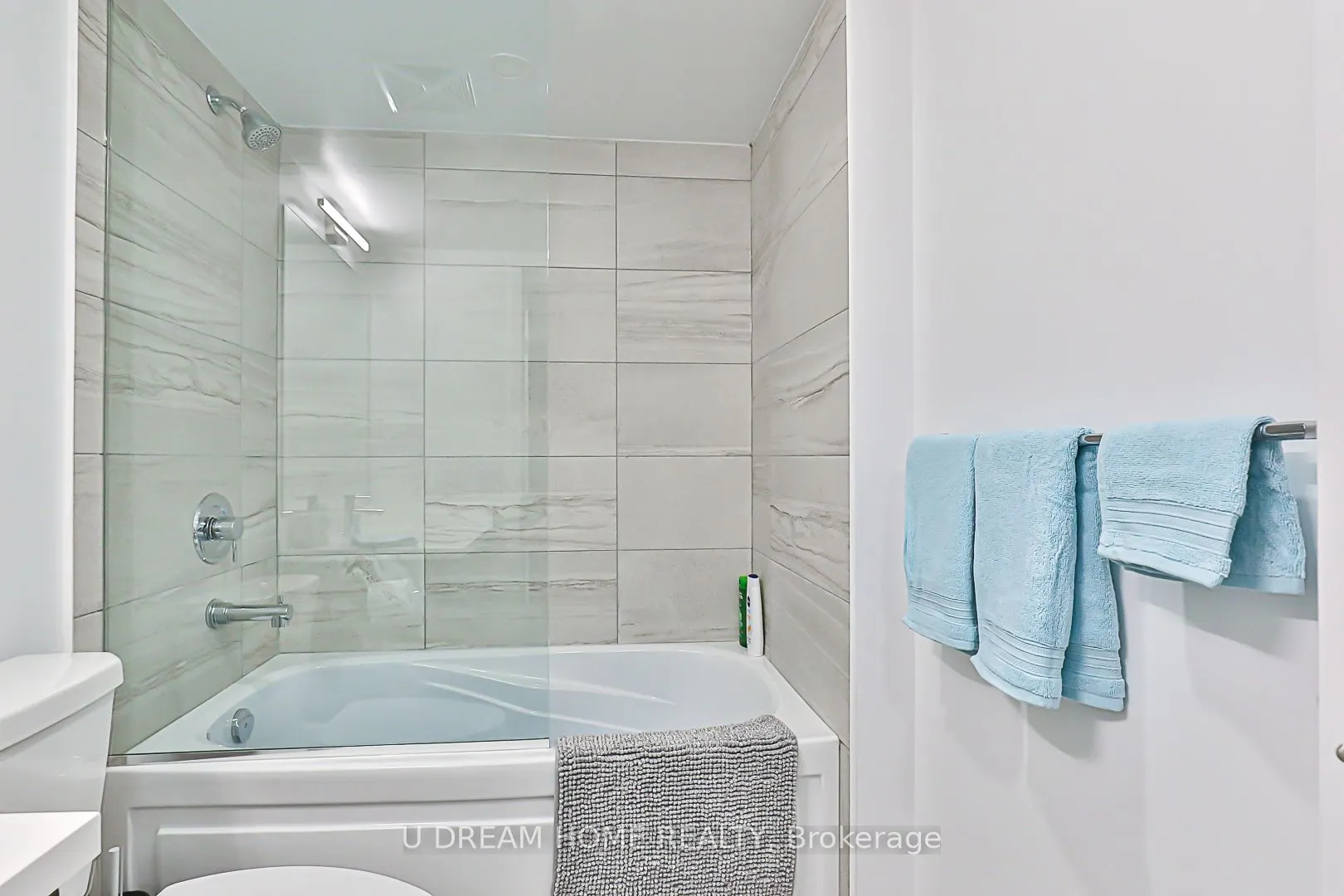 219 Dundas St E, #1201