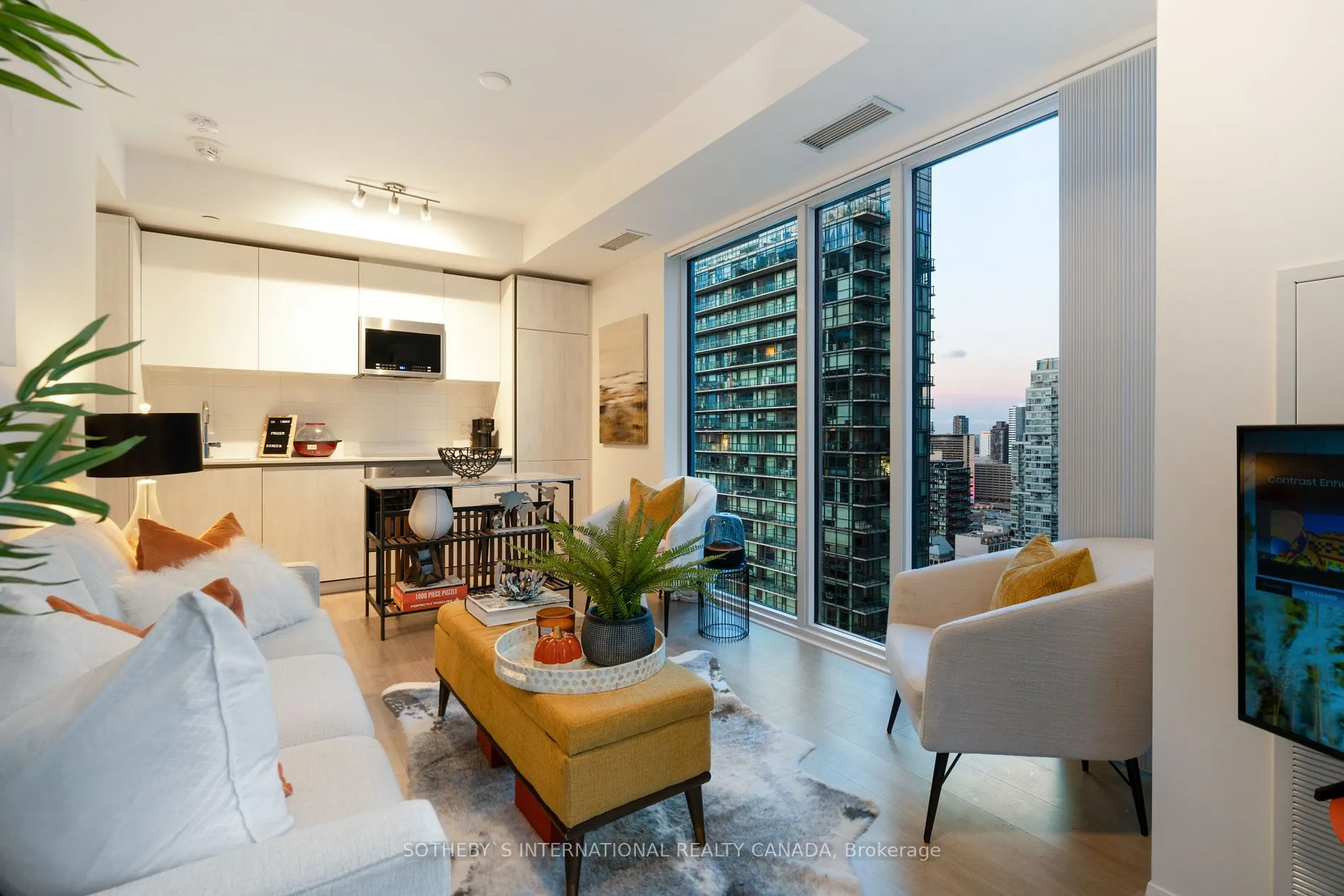 28 Widmer St, #3629