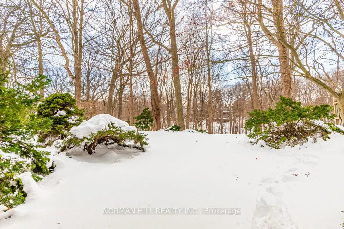 49 Timberlane Drive