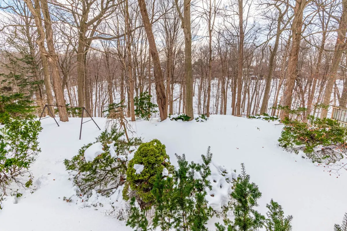 49 Timberlane Drive