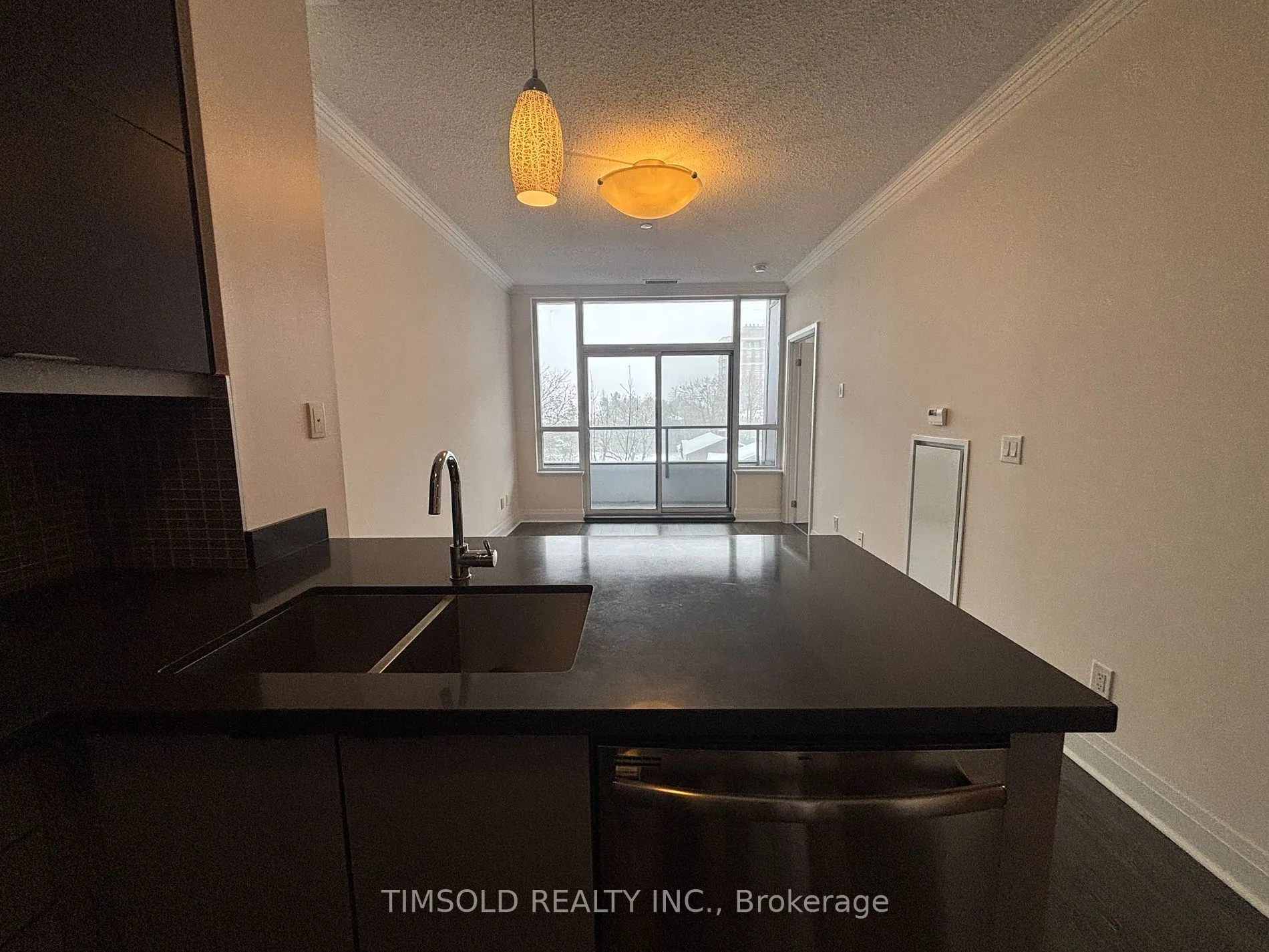 399 Spring Garden Ave, #505
