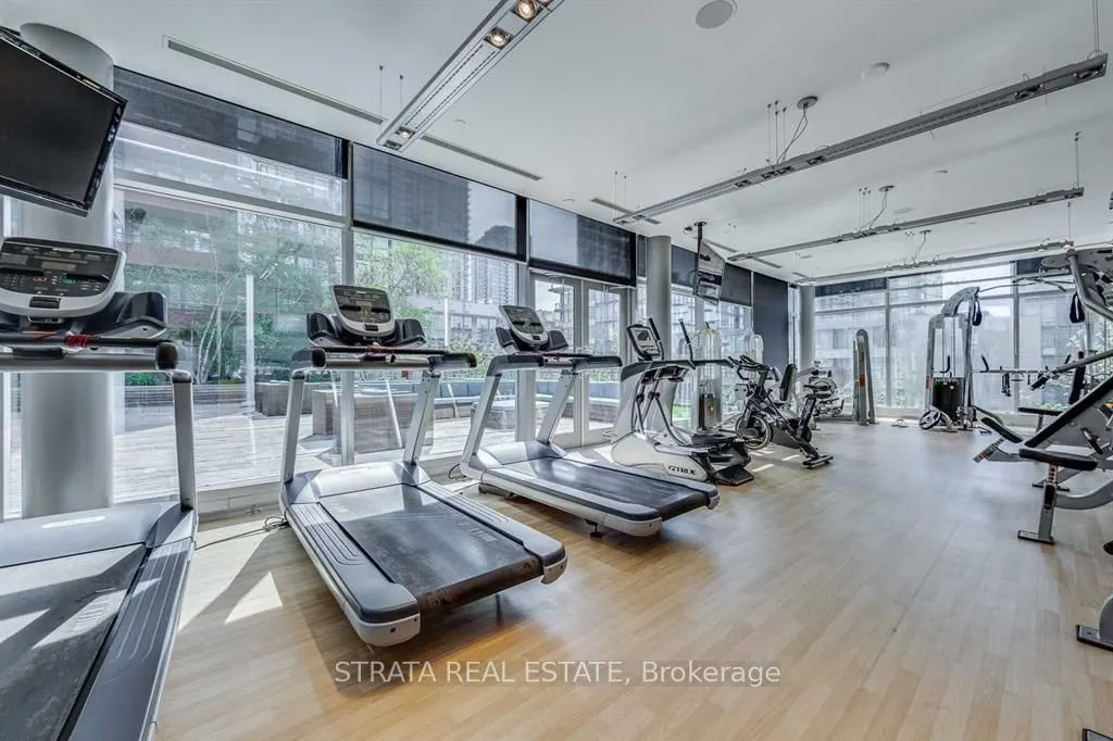 4K Spadina Ave, #206