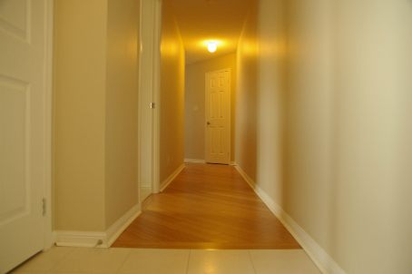228 Queens Quay W #302