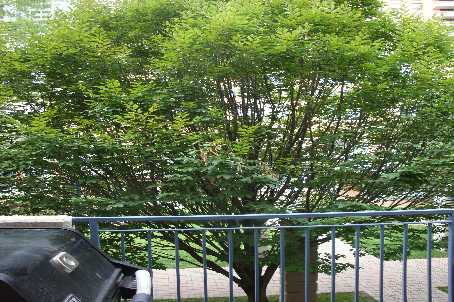 28 Sommerset Way #1520