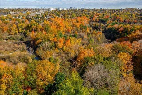 75 Wynford Heights Cres 75 Wynford Heights Cres
