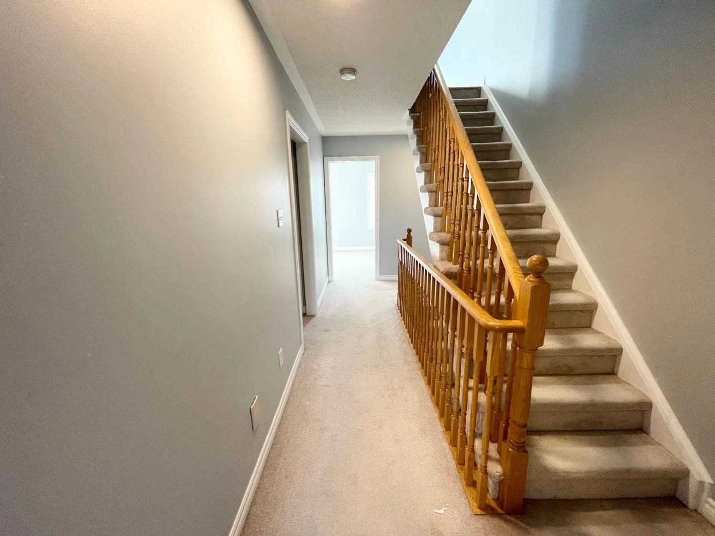 59 Routliffe Lane