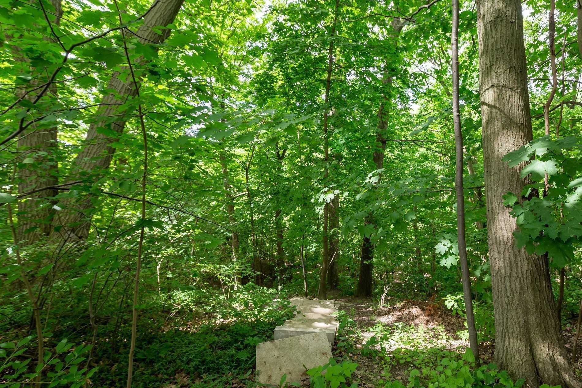 7 Douglas Cres
