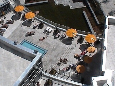 8 York St, #2013