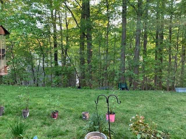 15 Artinger Crt