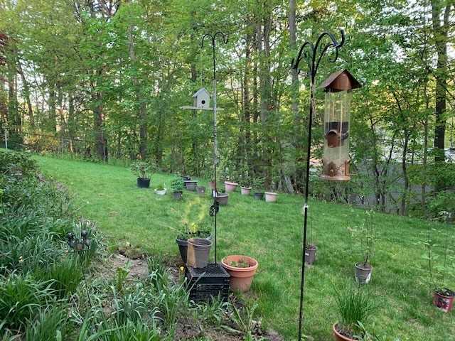 15 Artinger Crt