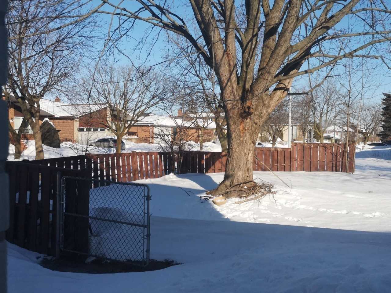 287 Codsell Ave