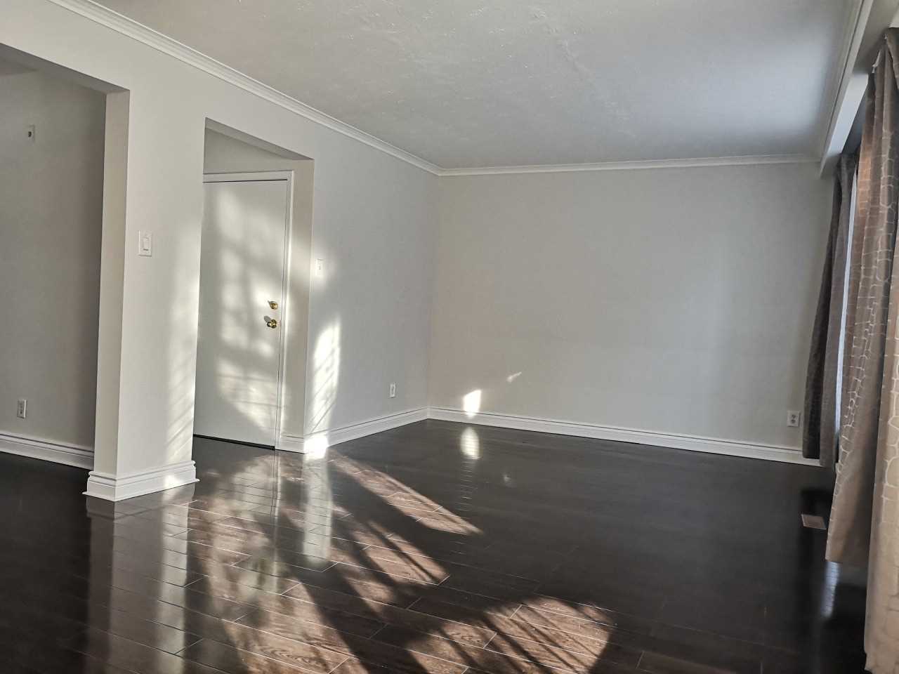 287 Codsell Ave