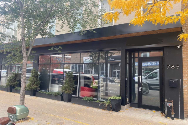 785 Dundas St W, Toronto