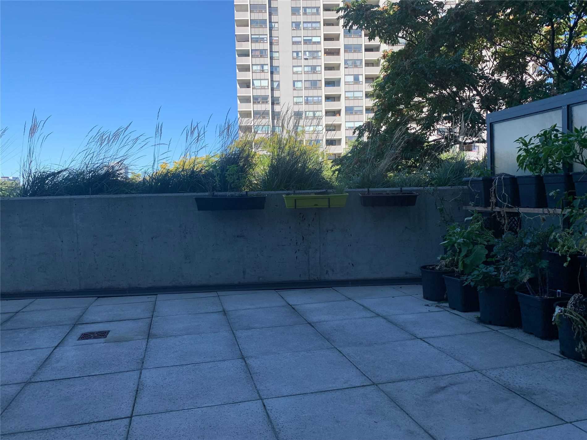 15 Beverley St, #503