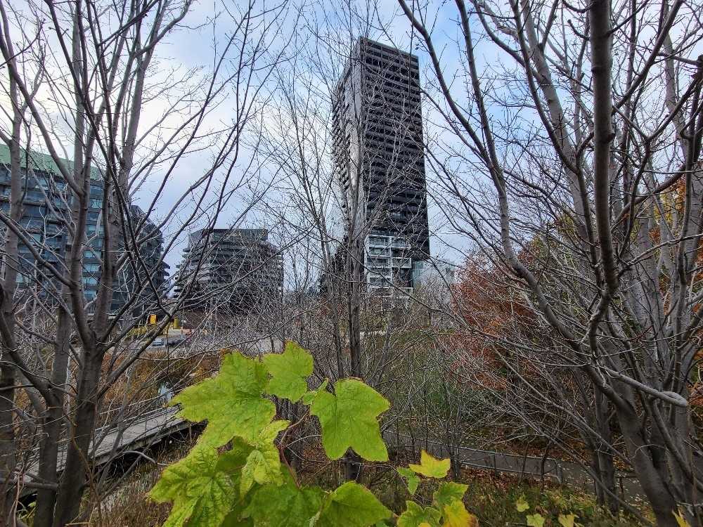 170 Bayview Avenue #715