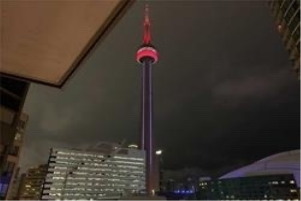 20 Blue Jays Way, Toronto