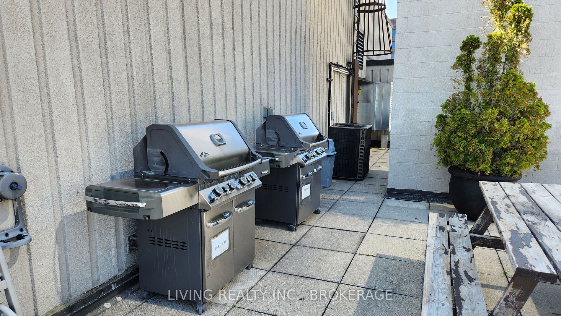 71 Charles St E, #1204