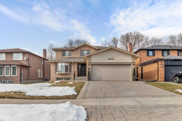 62 Saddletree Dr, Toronto