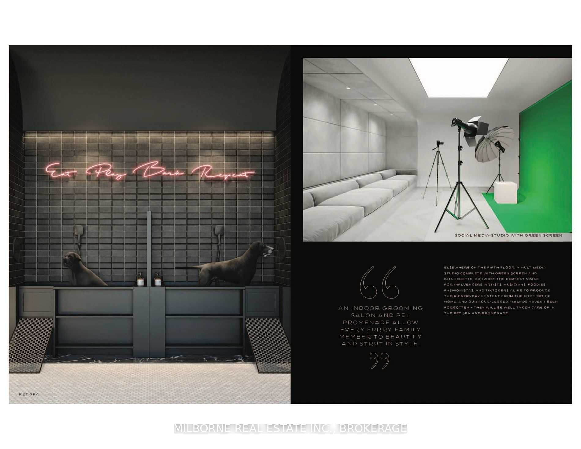 263 Adelaide St W, #1205