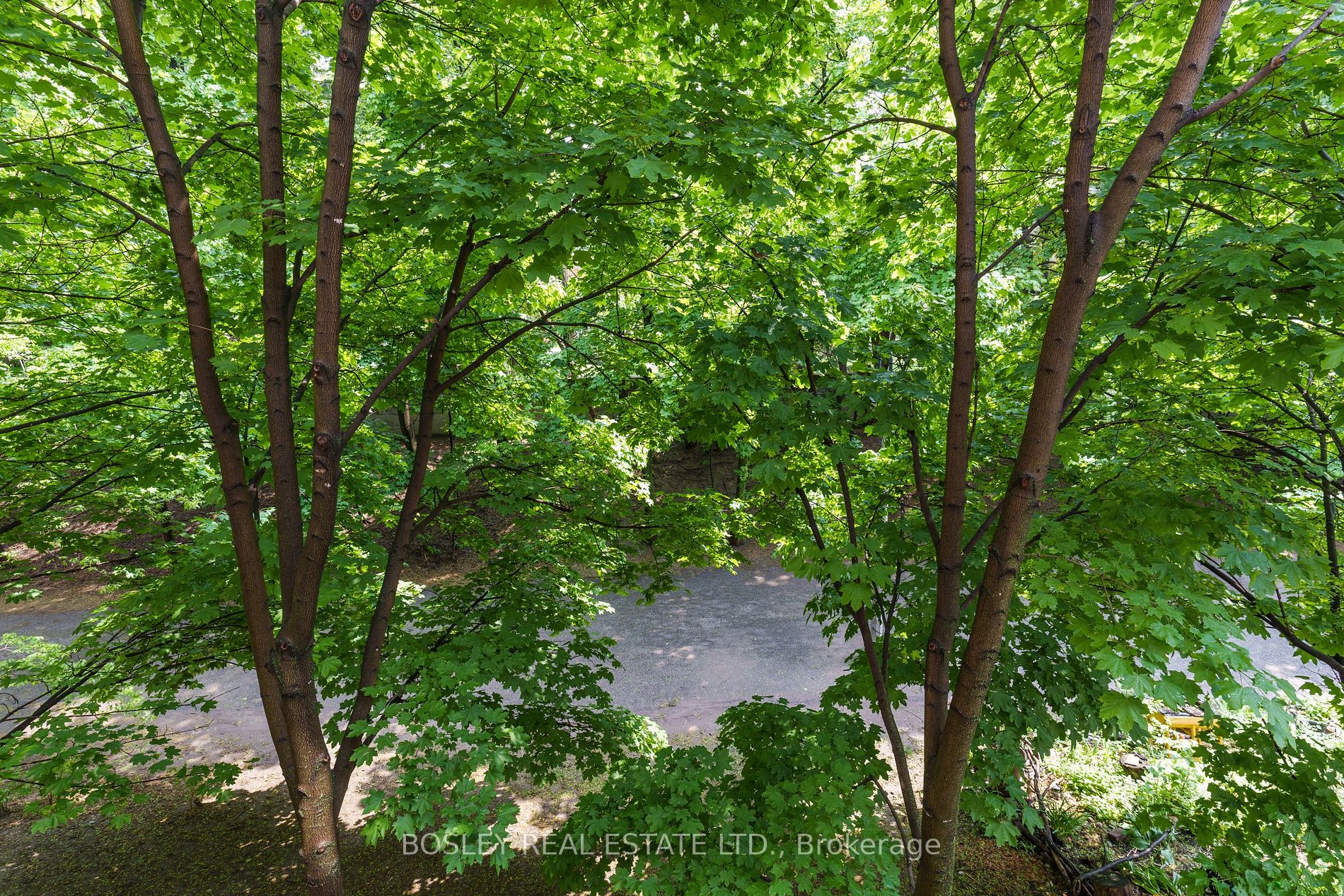 Listing C6031668 - Large Photo # 29