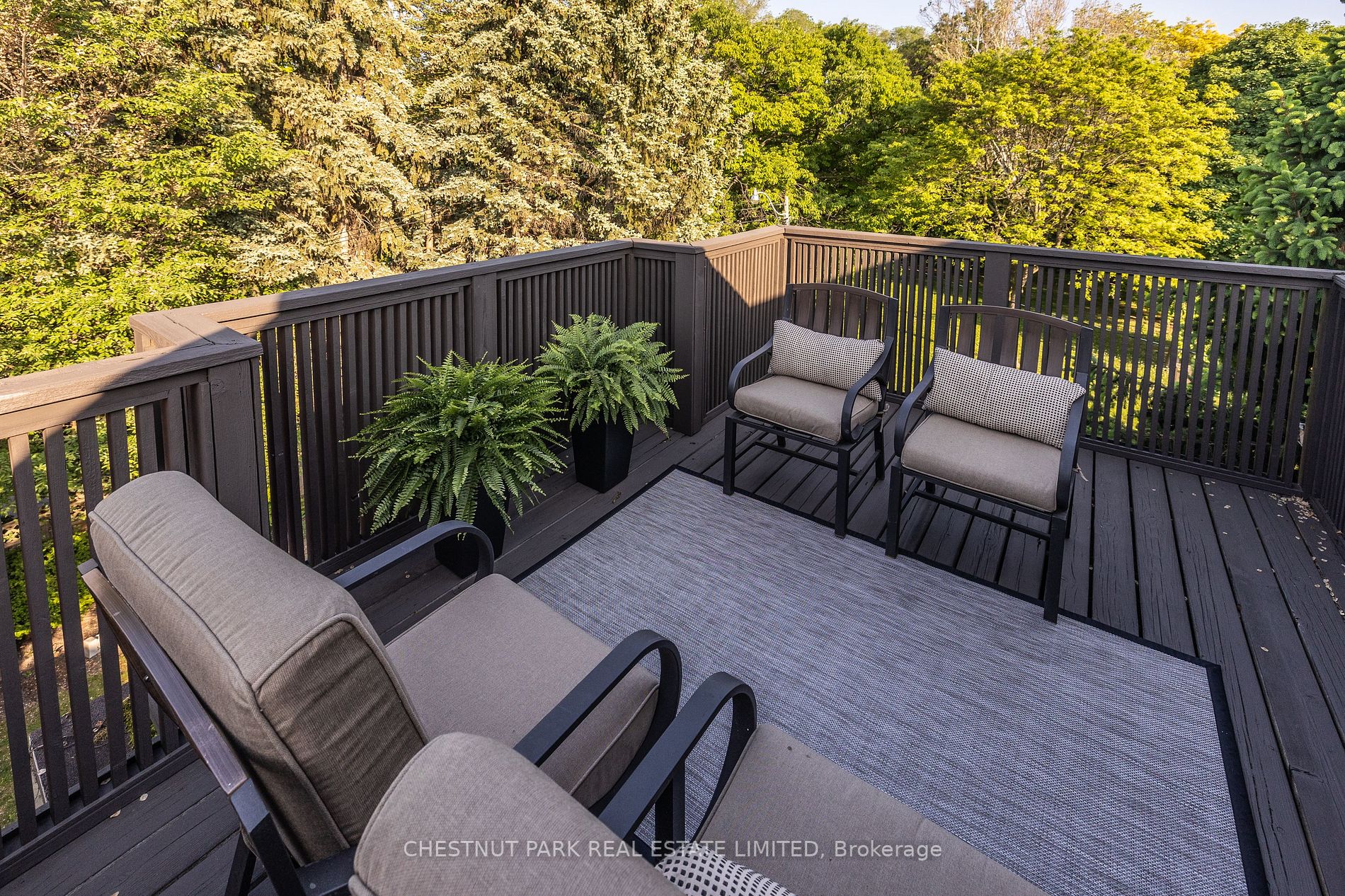 336 Douglas Dr