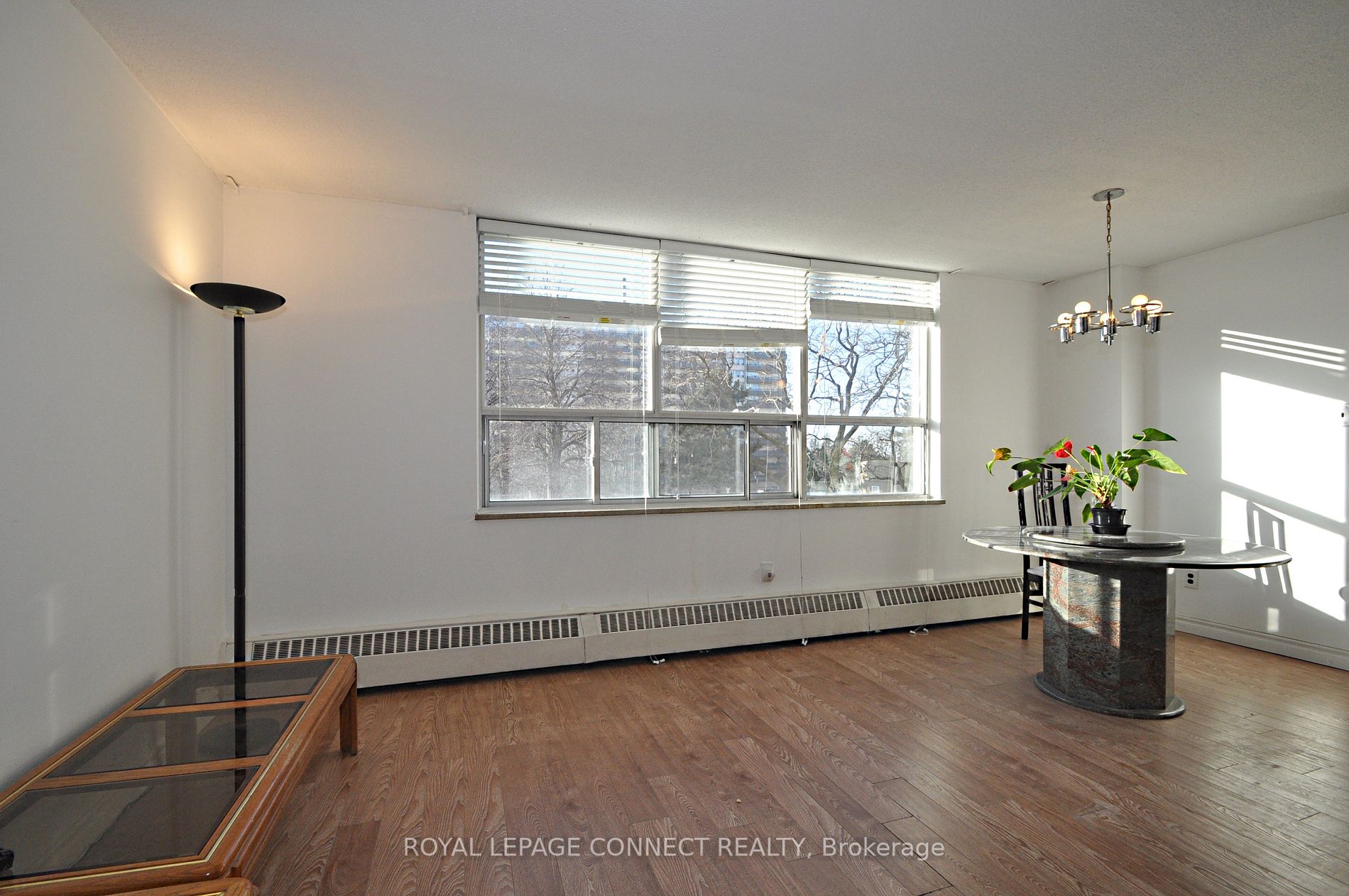 5 Parkway Forest Drive #206