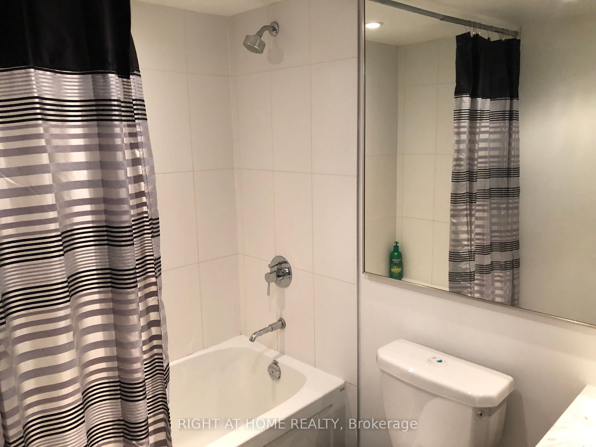 170 Fort York Boulevard, #205