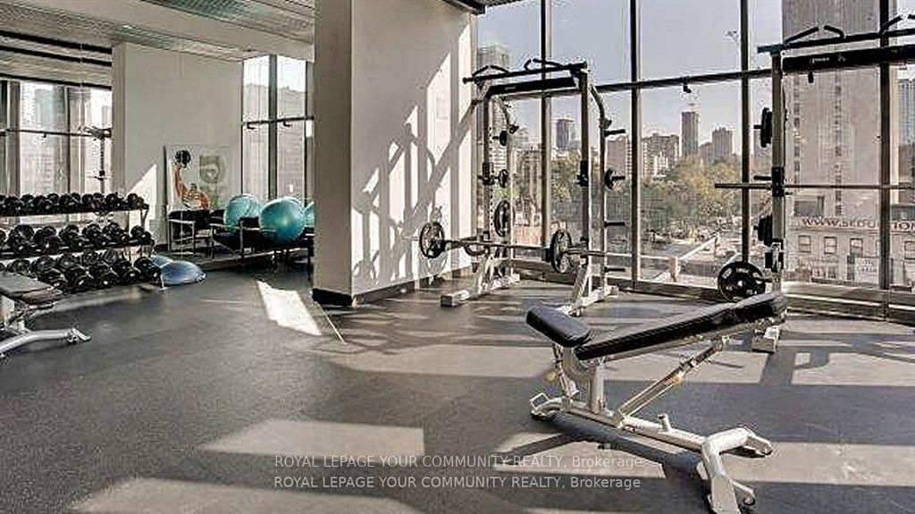 5 St Joseph St, #202