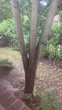 Listing C6645238 - Large Photo # 15