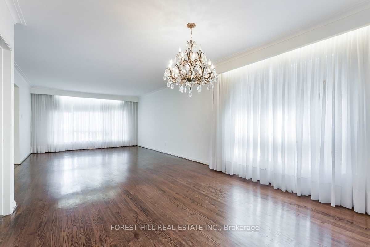 3 Tokay Crt