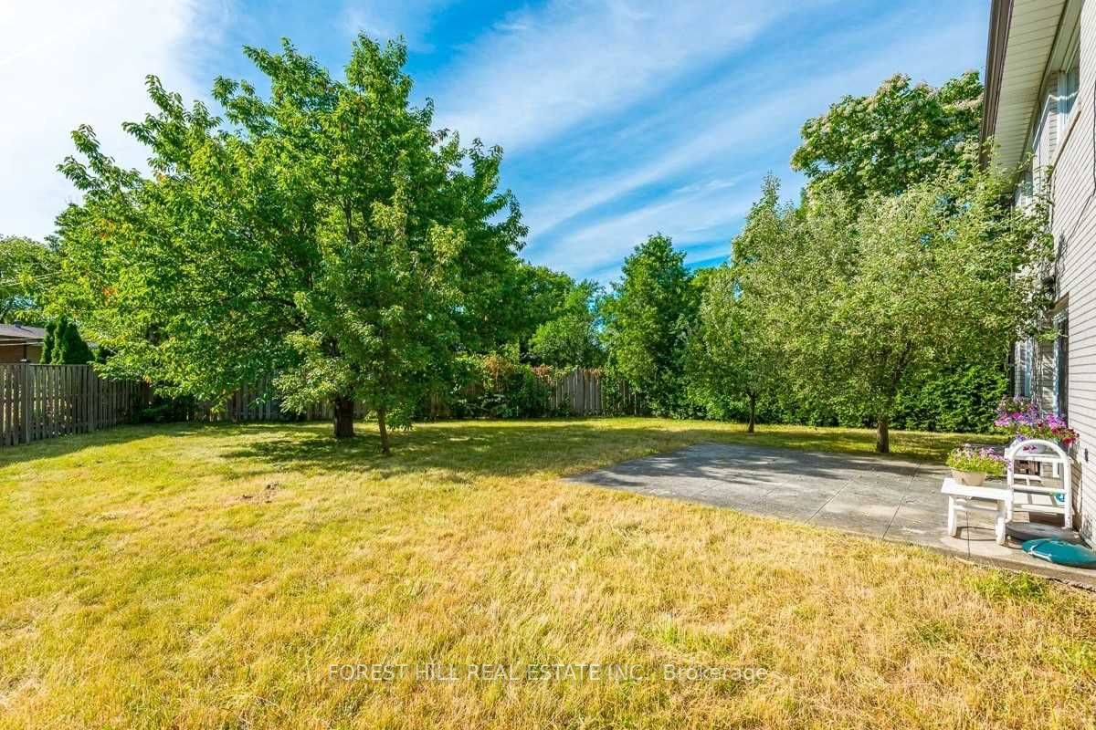 3 Tokay Crt