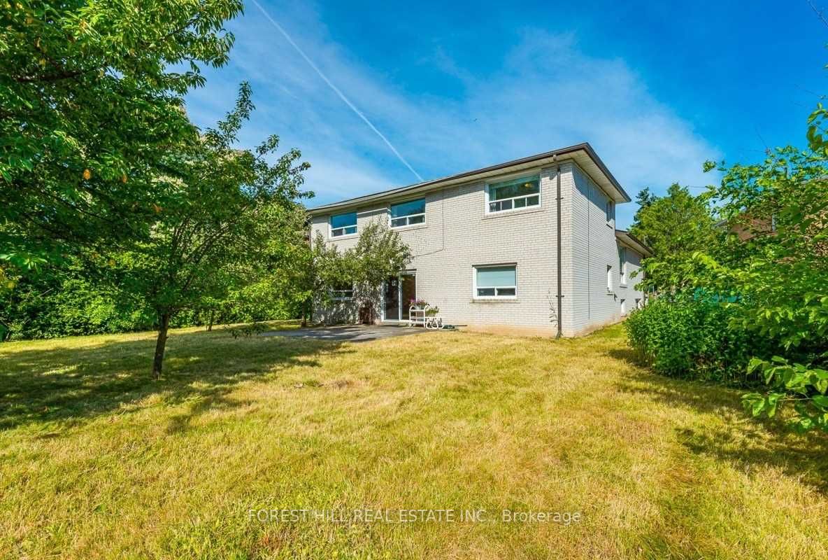 3 Tokay Crt