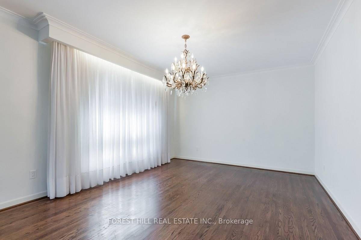 3 Tokay Crt