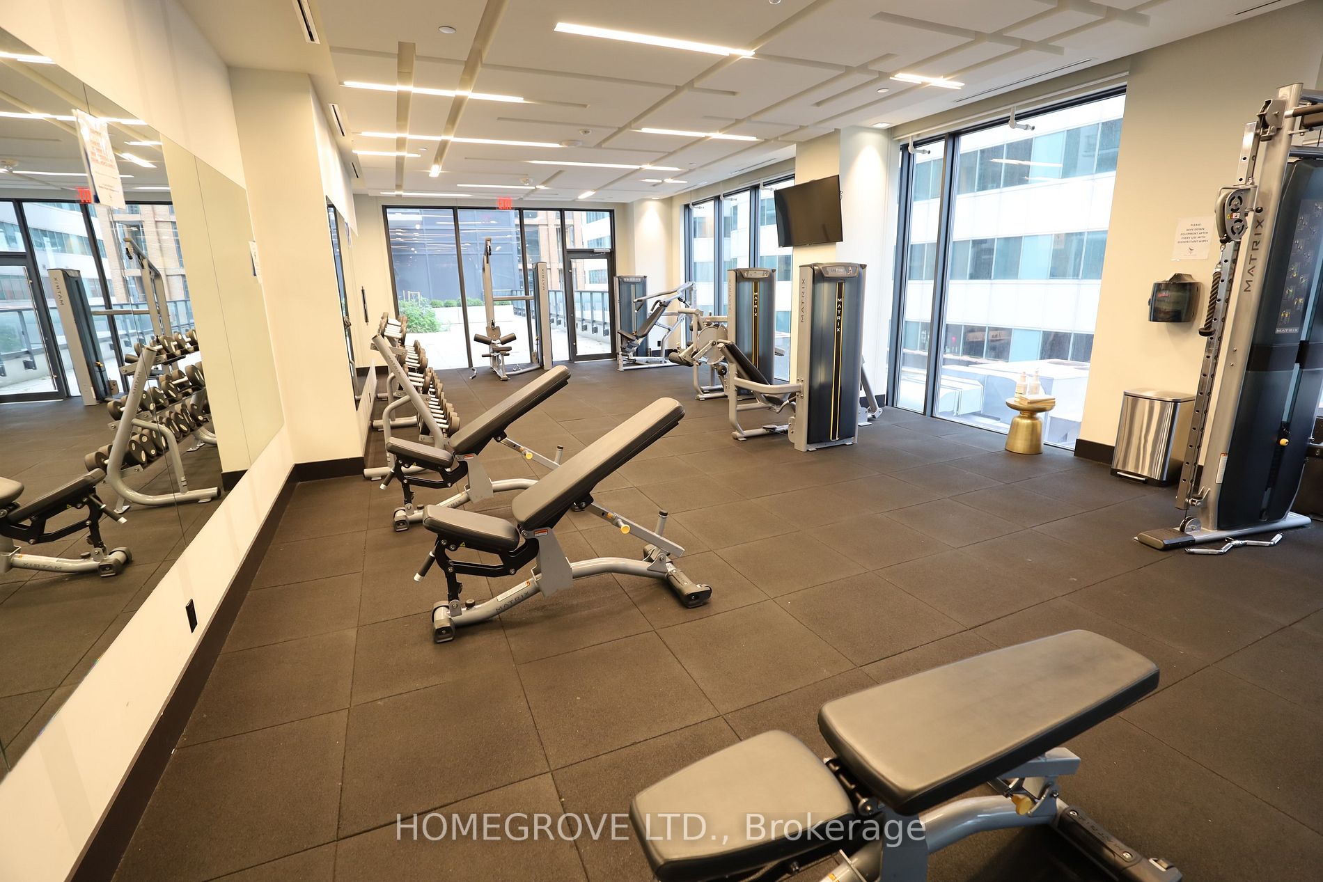 87 Peter St, #4115