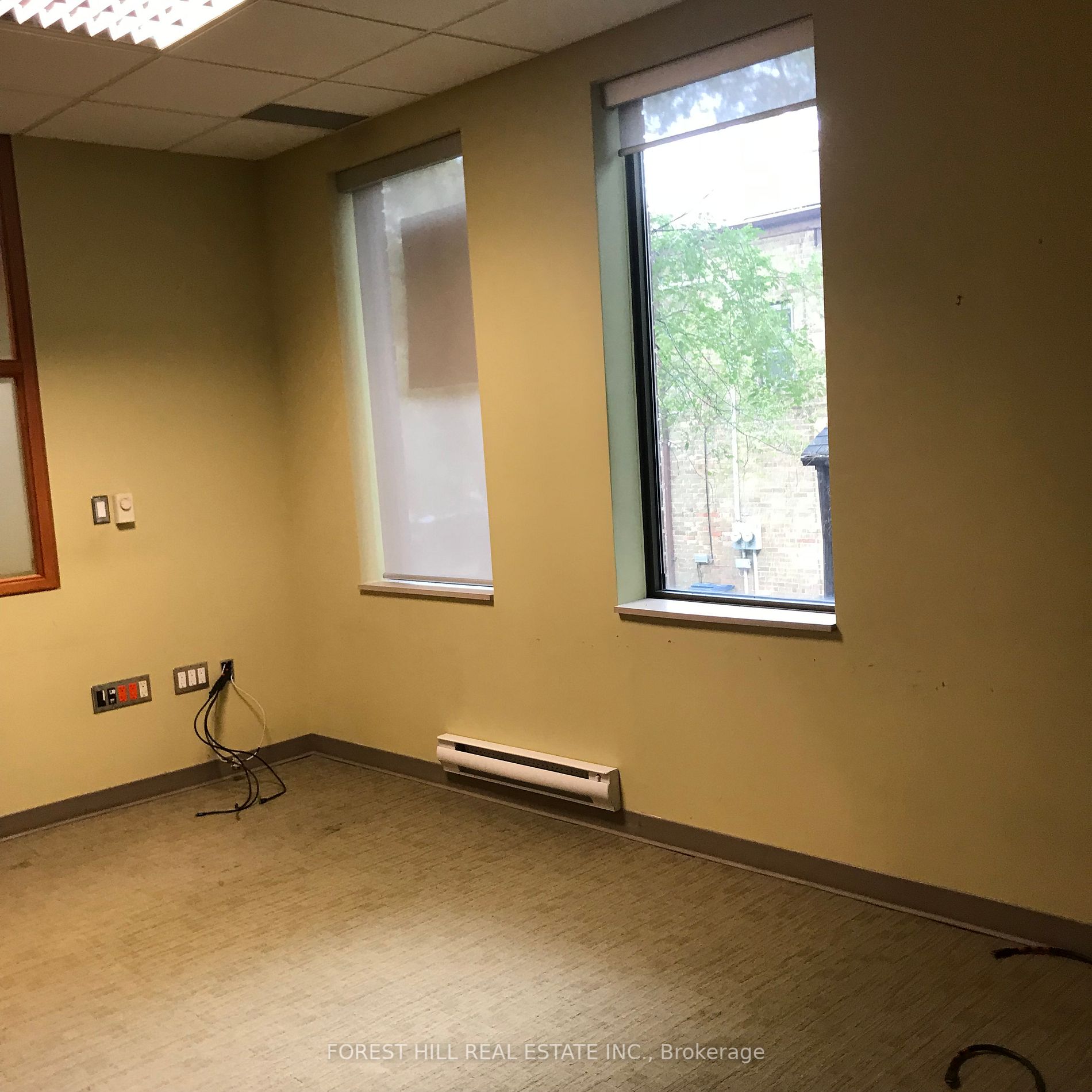 439 Spadina Rd, #210