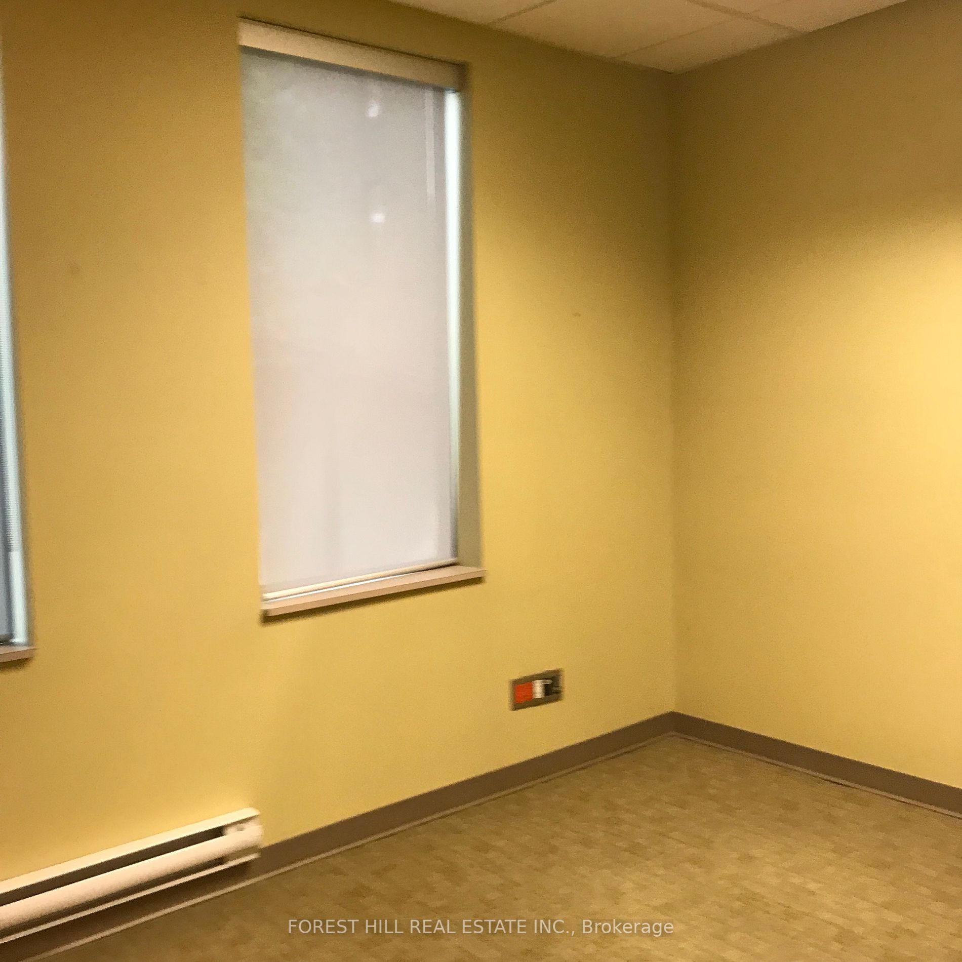 439 Spadina Rd, #210