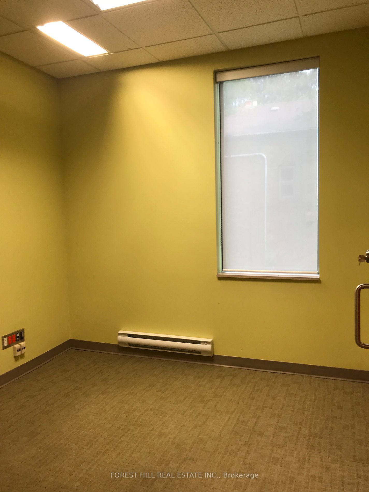 439 Spadina Rd, #210