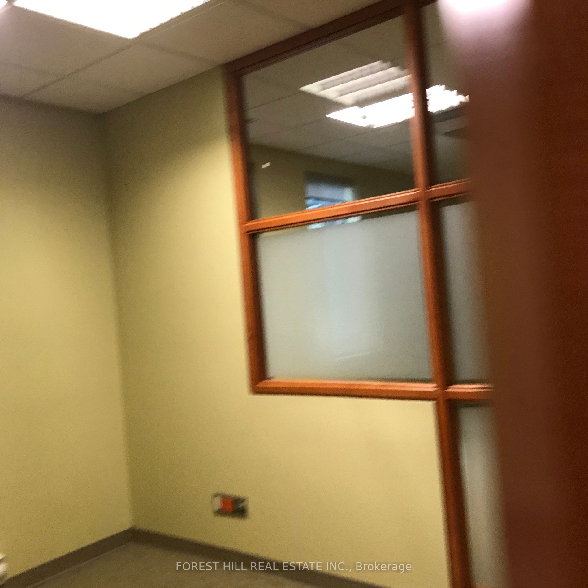 439 Spadina Rd, #210