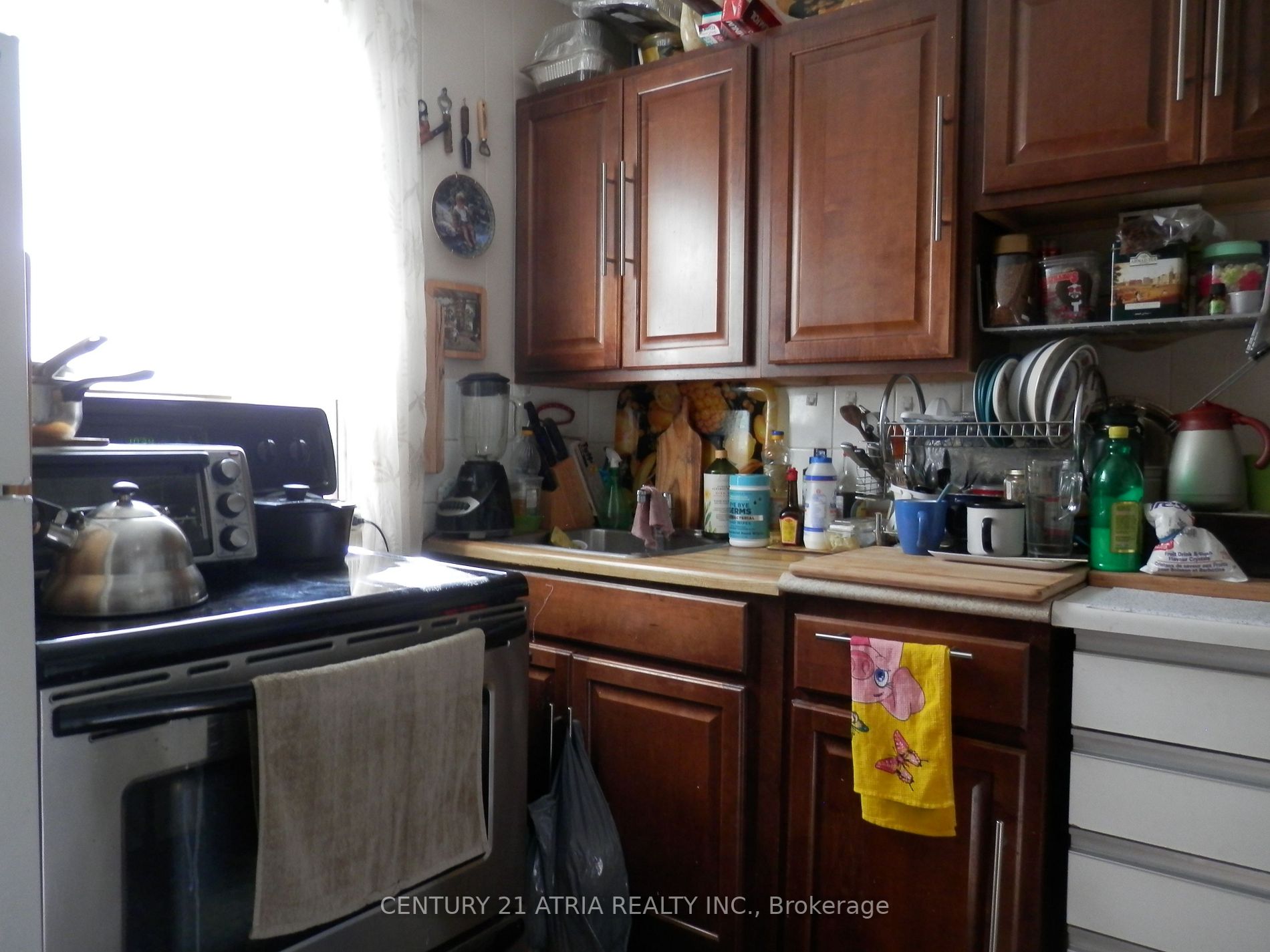 51 Dromore Crescent