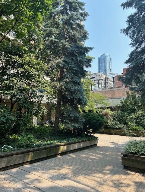 71 Mccaul St, #123