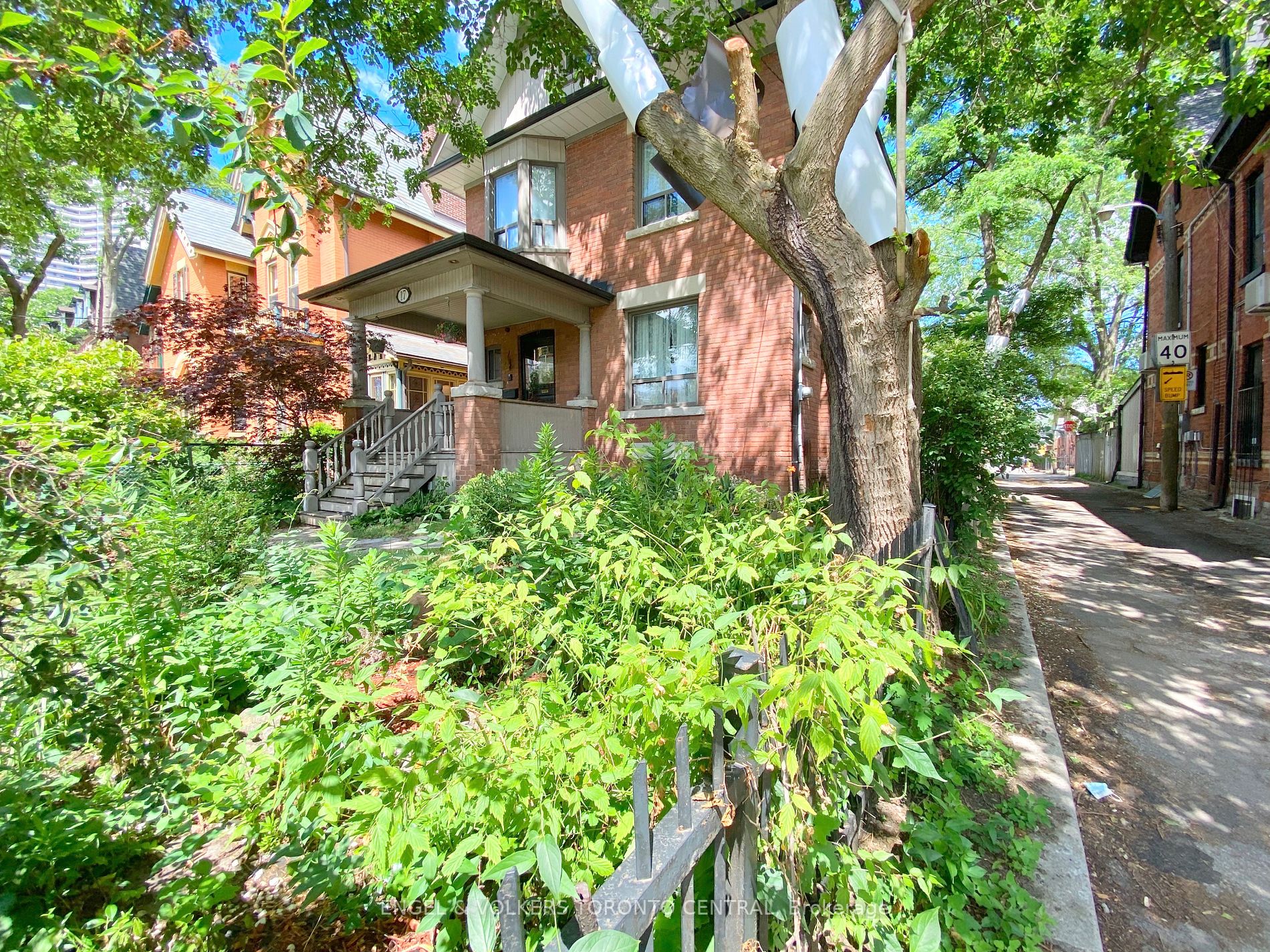 17 Rose Ave