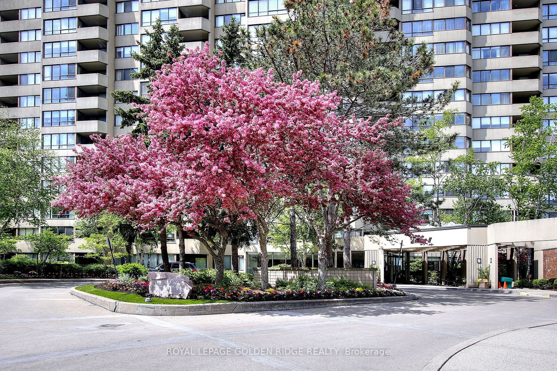 65 Spring Garden Avenue, #410